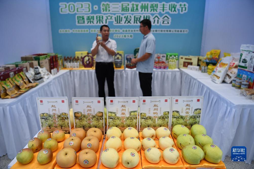 大平台棋牌